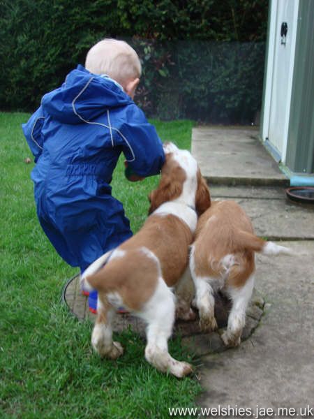 2009-04-17 05L.JPG